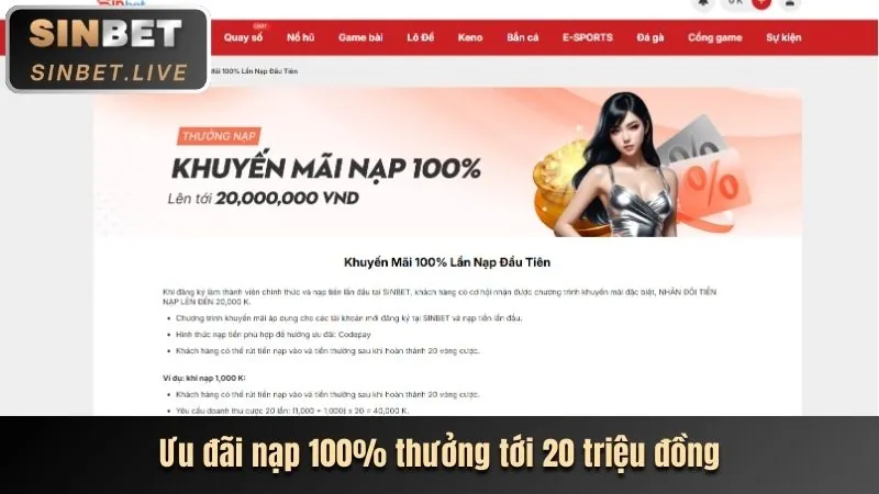Hoàn trả cược cao cấp cho VIP